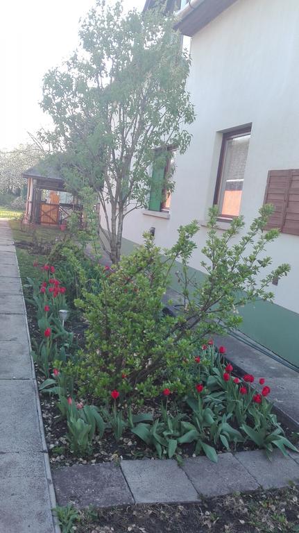 Plajbi Apartment Hajdúszoboszló المظهر الخارجي الصورة